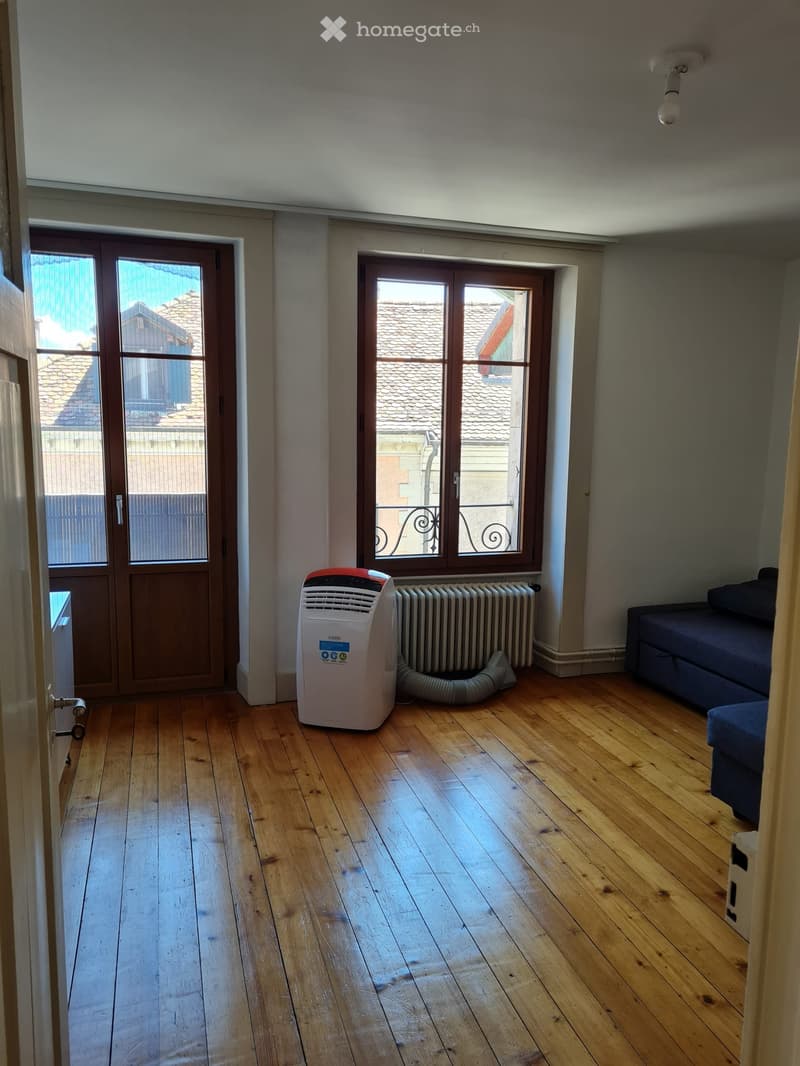 Apartment in the center of Coppet (2)