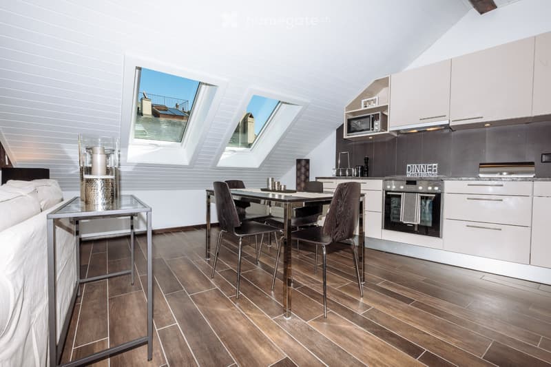 NYON Centre - Magnifique 2.5p  //  Superb 1-bedroomed flat (3)