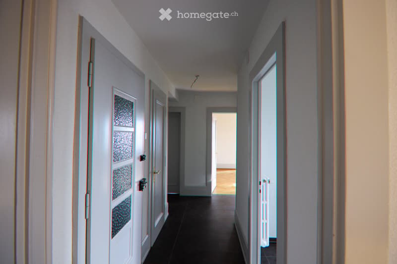 Logement lumineux avec une magnifique vue sur le lac (5)