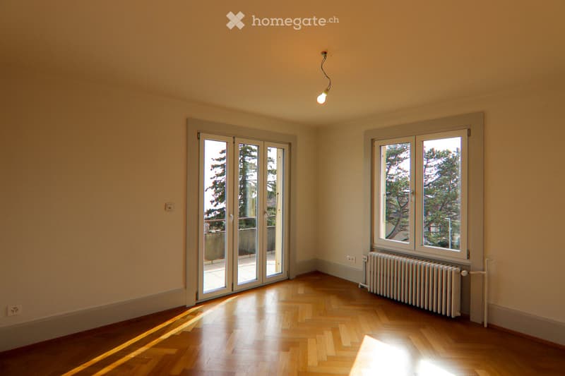 Logement lumineux avec une magnifique vue sur le lac (1)