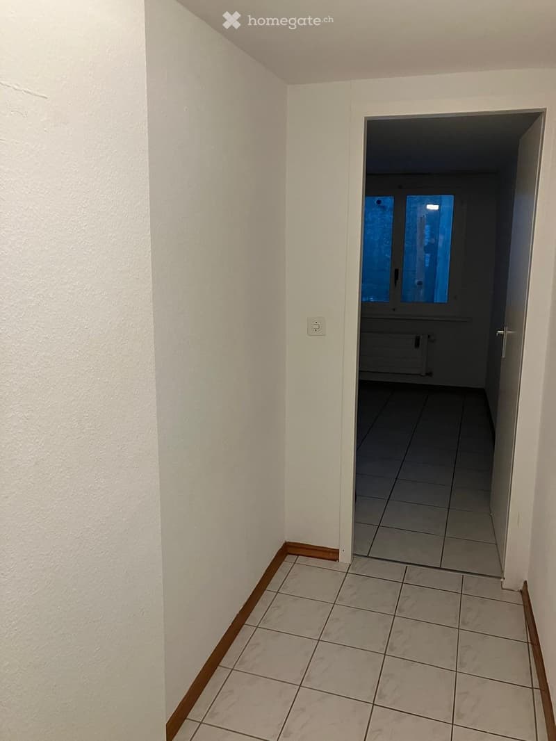 Appartement de 2 pièces rénové au centre ville de Fribourg (3)