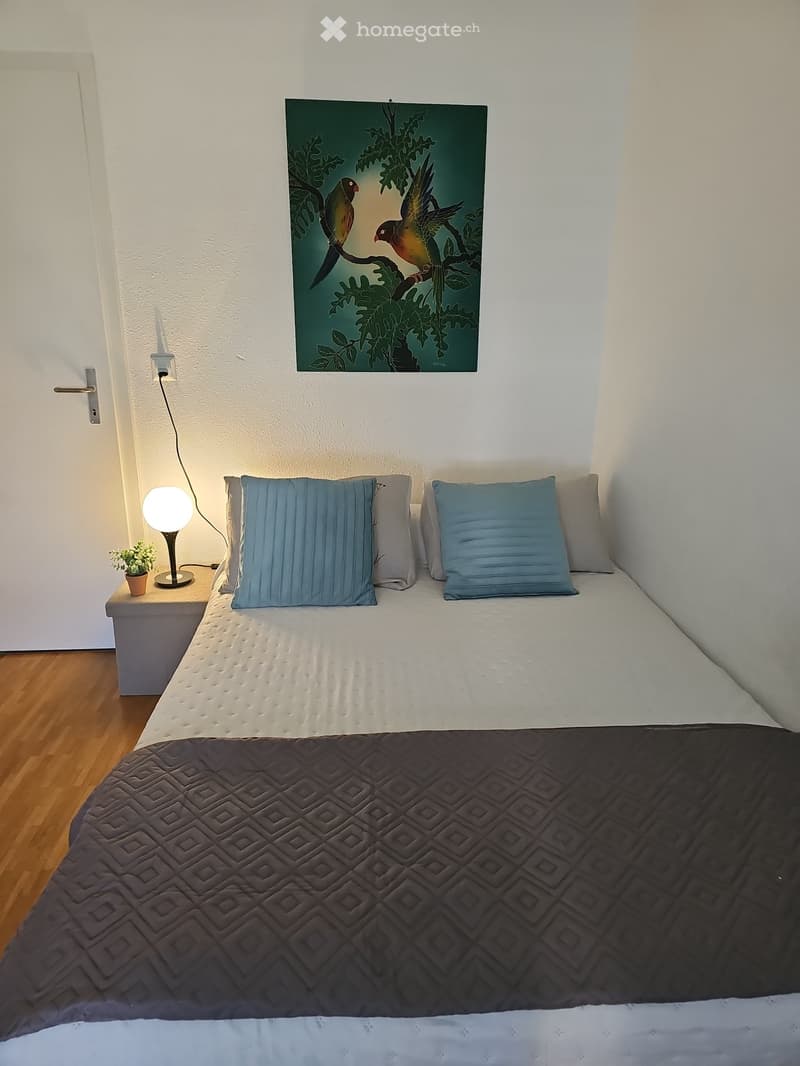 Belle chambre avec salle douche et WC chez l'habitant (1)