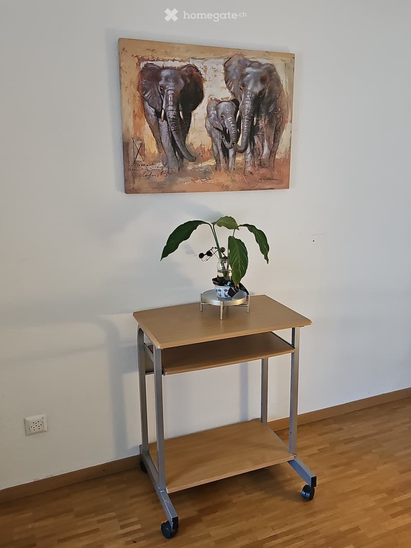 Belle chambre avec salle douche et WC chez l'habitant (2)
