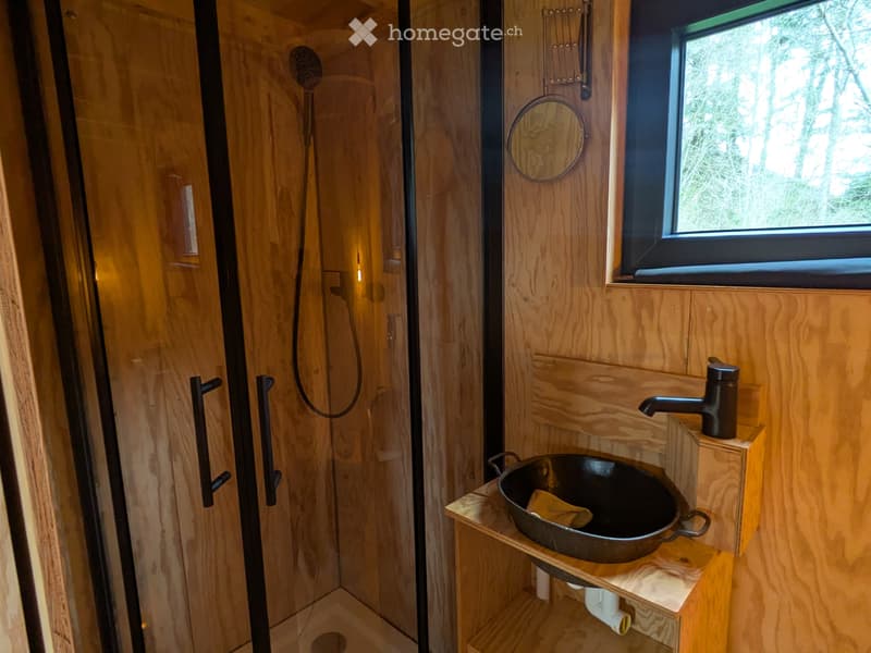 Tiny house à vendre (3)