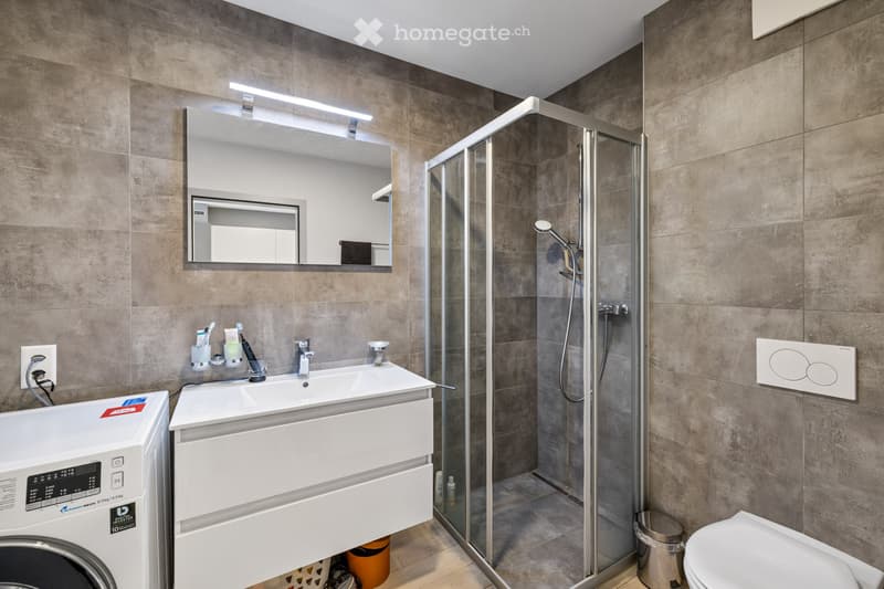 Appartement 2 1/2 à louer (4)
