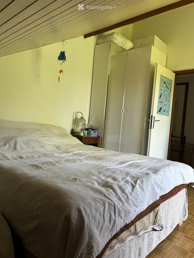 URGENT 4,5 p. Veyrier village (4)