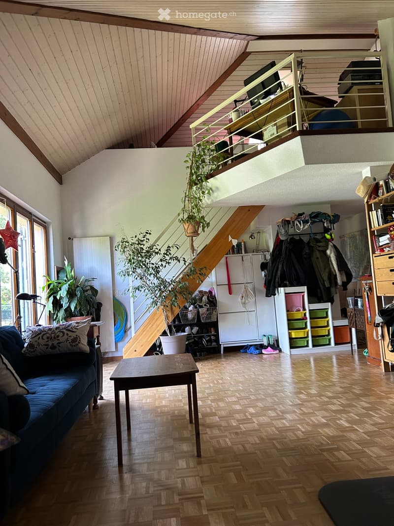 URGENT 4,5 p. Veyrier village (1)