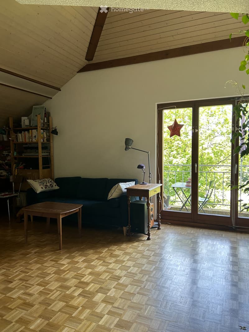 URGENT 4,5 p. Veyrier village (2)