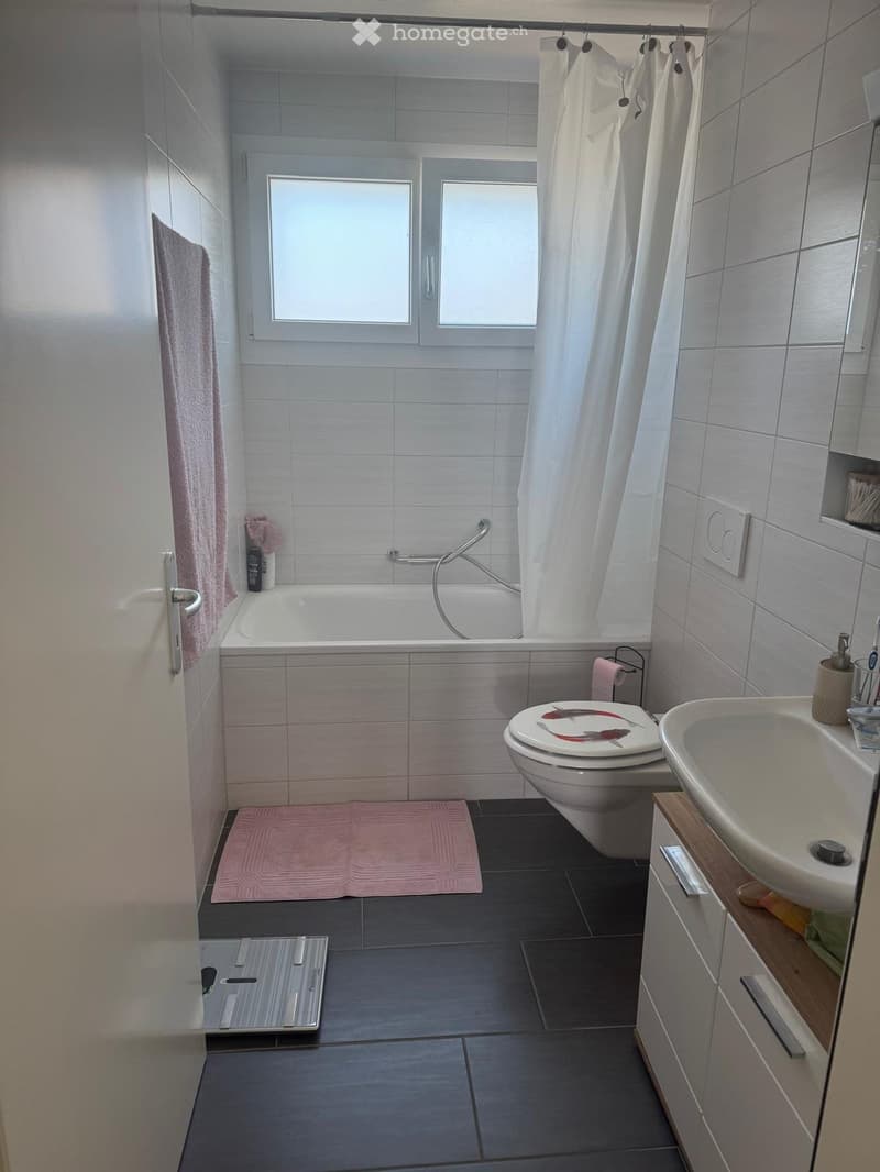Location appartement 3,5 pièces (6)
