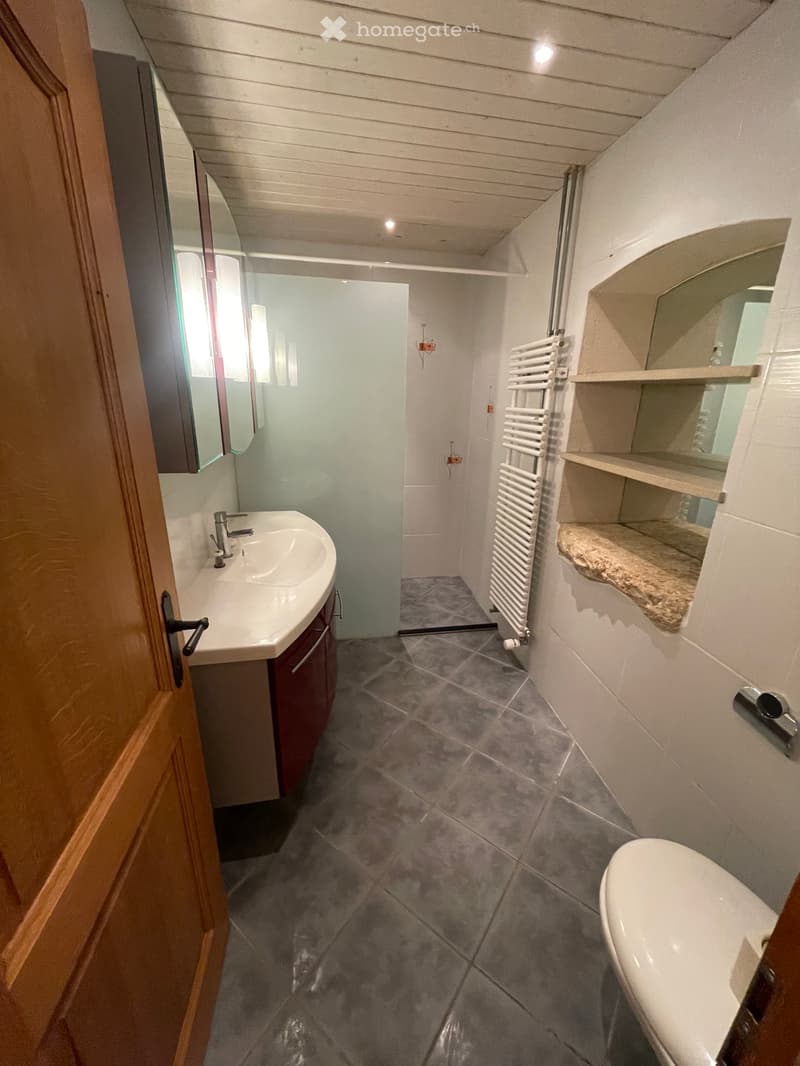 Appartement 1,5 pcs à louer dans maison villageoise (4)