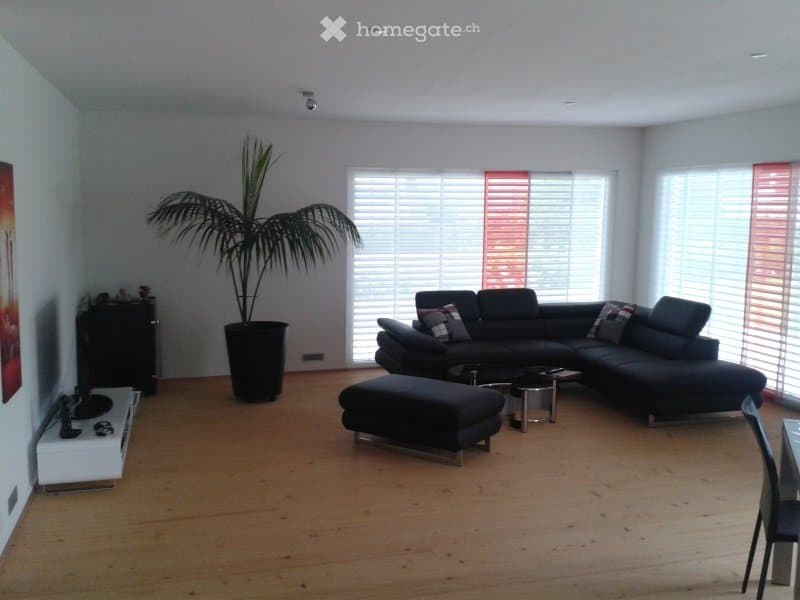 Location villa moderne - Lentigny (2)