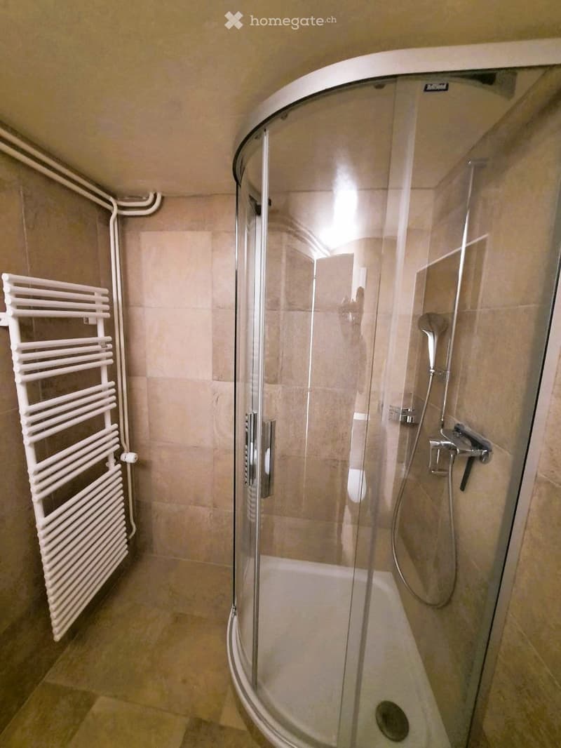 Location appartement 3,5 p (3)