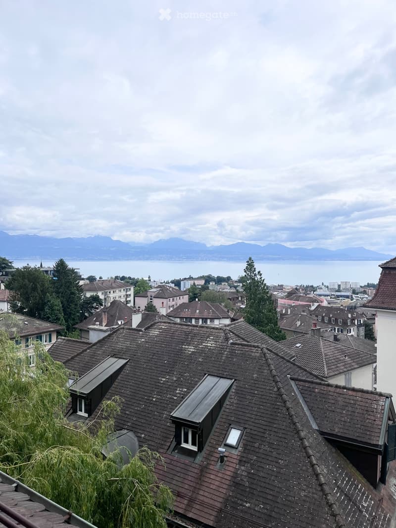 Loft à louer - Lausanne (Reprise de bail) (1)