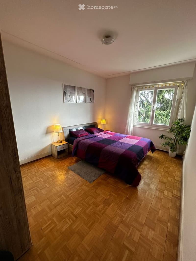 Appartement rénové avec vue partielle sur le lac (3)