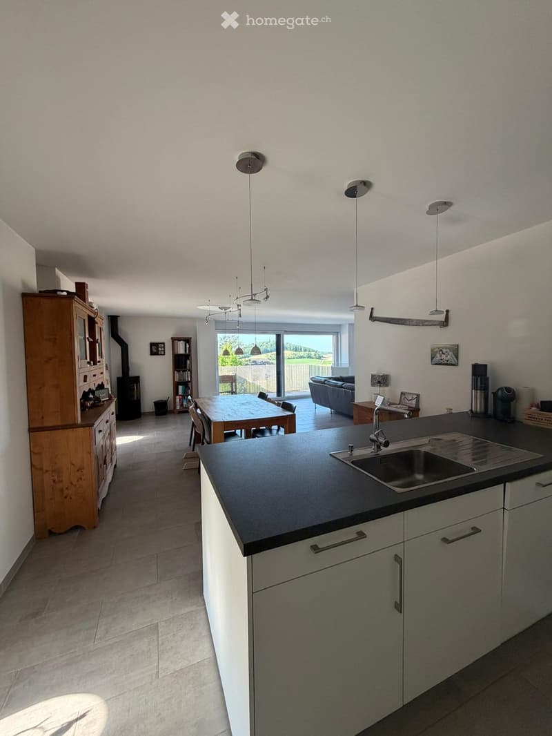 Magnifique appartement duplex dans les combles (3)