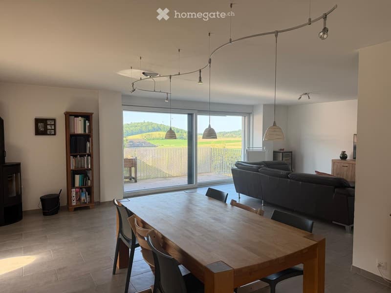 Magnifique appartement duplex dans les combles (2)