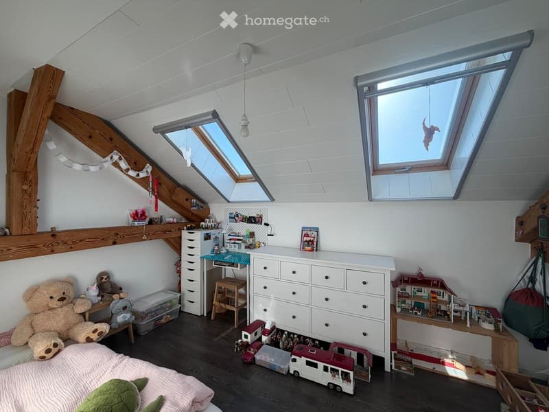 Magnifique appartement duplex dans les combles (5)