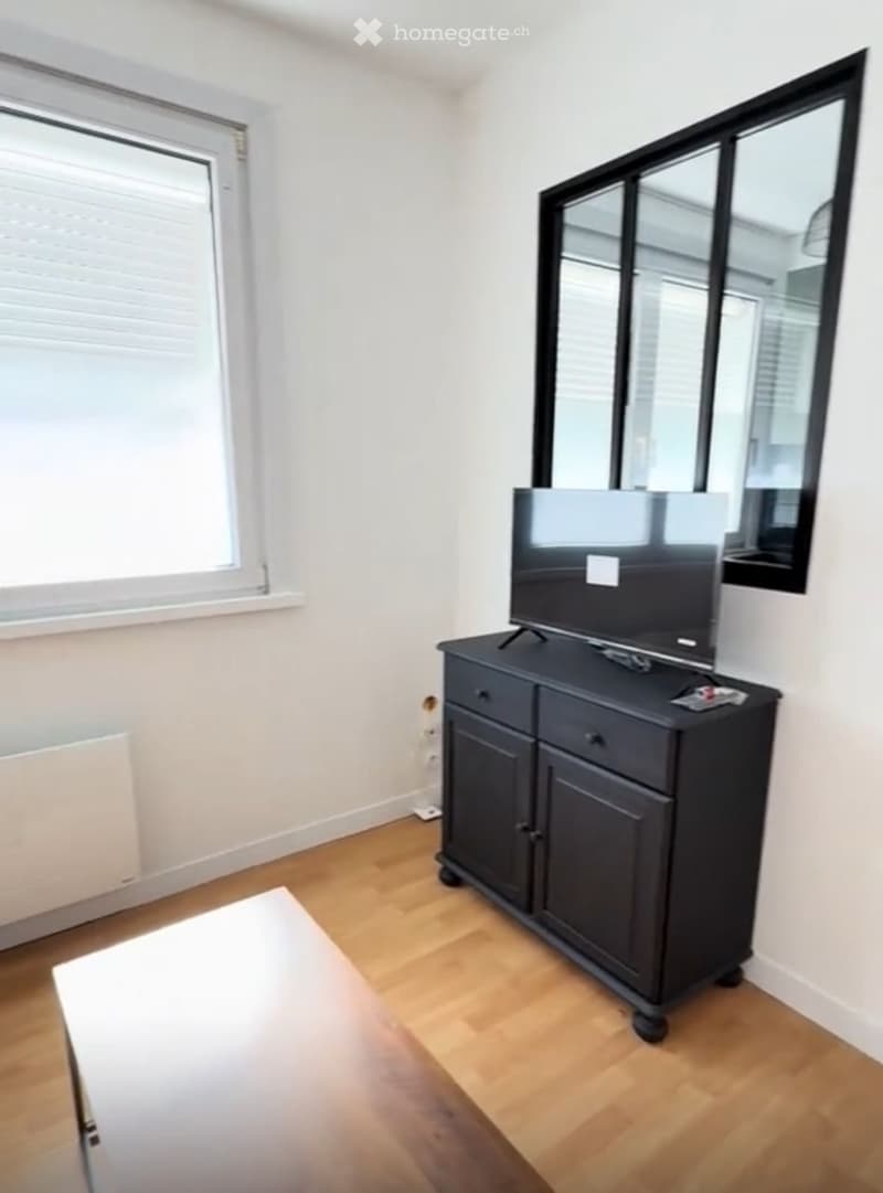 Charmant studio à louer Birmensdorferstrasse, 8055 Zürich (4)