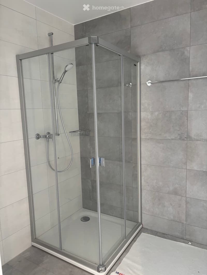 Magnifique 2,5 pcs neuf à louer à Léchelles (Belmont-Broye) (5)