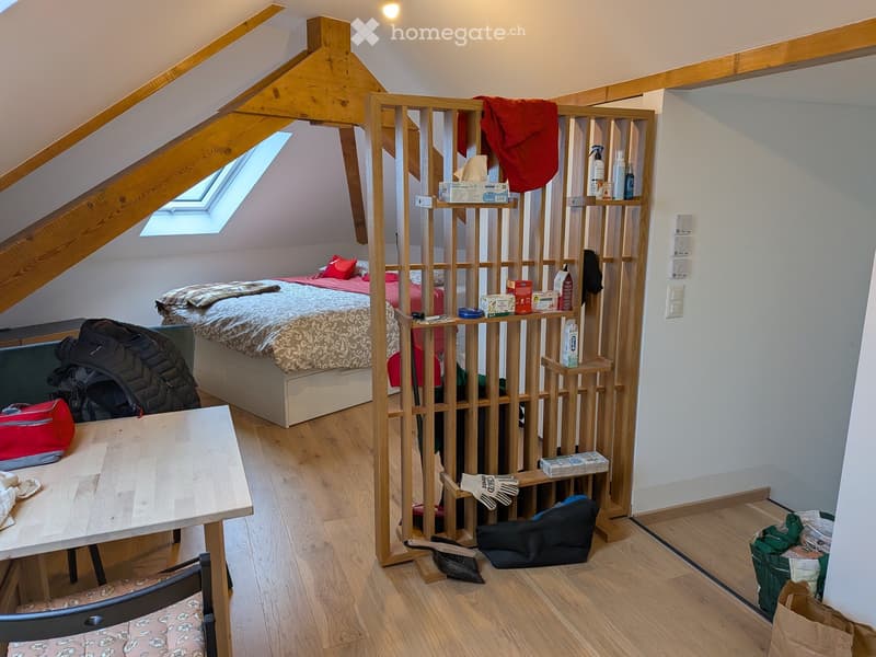 Studio meublé à louer à Lausanne, disponible dès le 1er août (2)