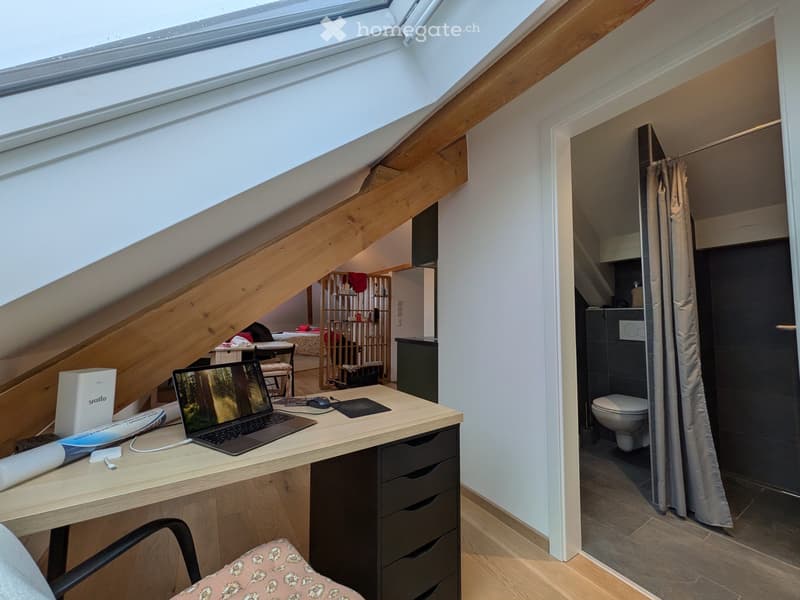 Studio meublé à louer à Lausanne, disponible dès le 1er août (5)