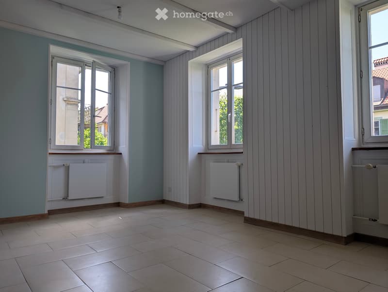 Duplex lumineux et calme de 6 pièces (2)