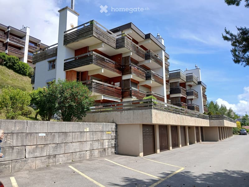 joli 3.5 avec terrasse ensoleillée (5)