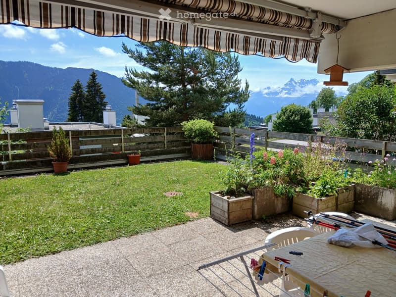 joli 3.5 avec terrasse ensoleillée (2)
