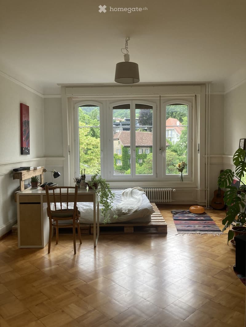 Chambre lumineuse en colocation (1)