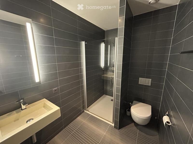 Appartement 3.5 pièces à Vevey 80m2 (fin octobre) (5)