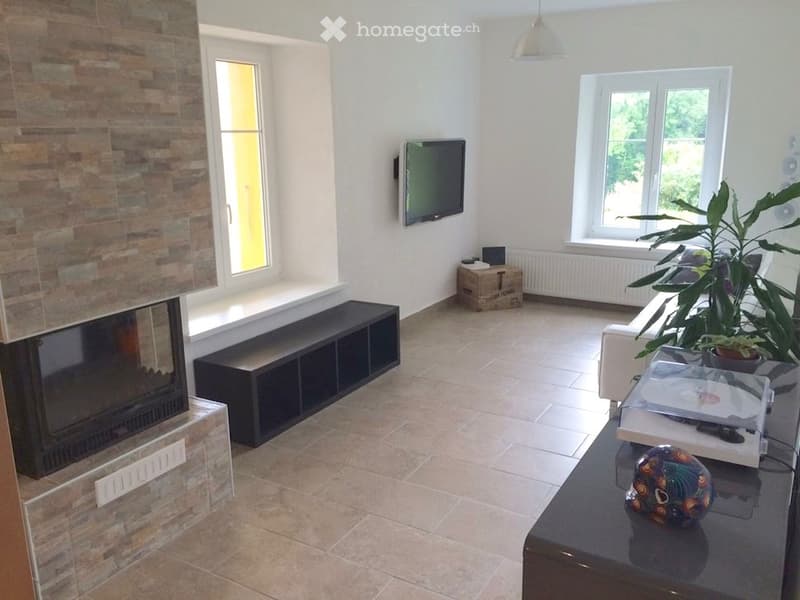 Magnifique 3,5 pièces, cheminée, terrasse, jardin et garage (3)