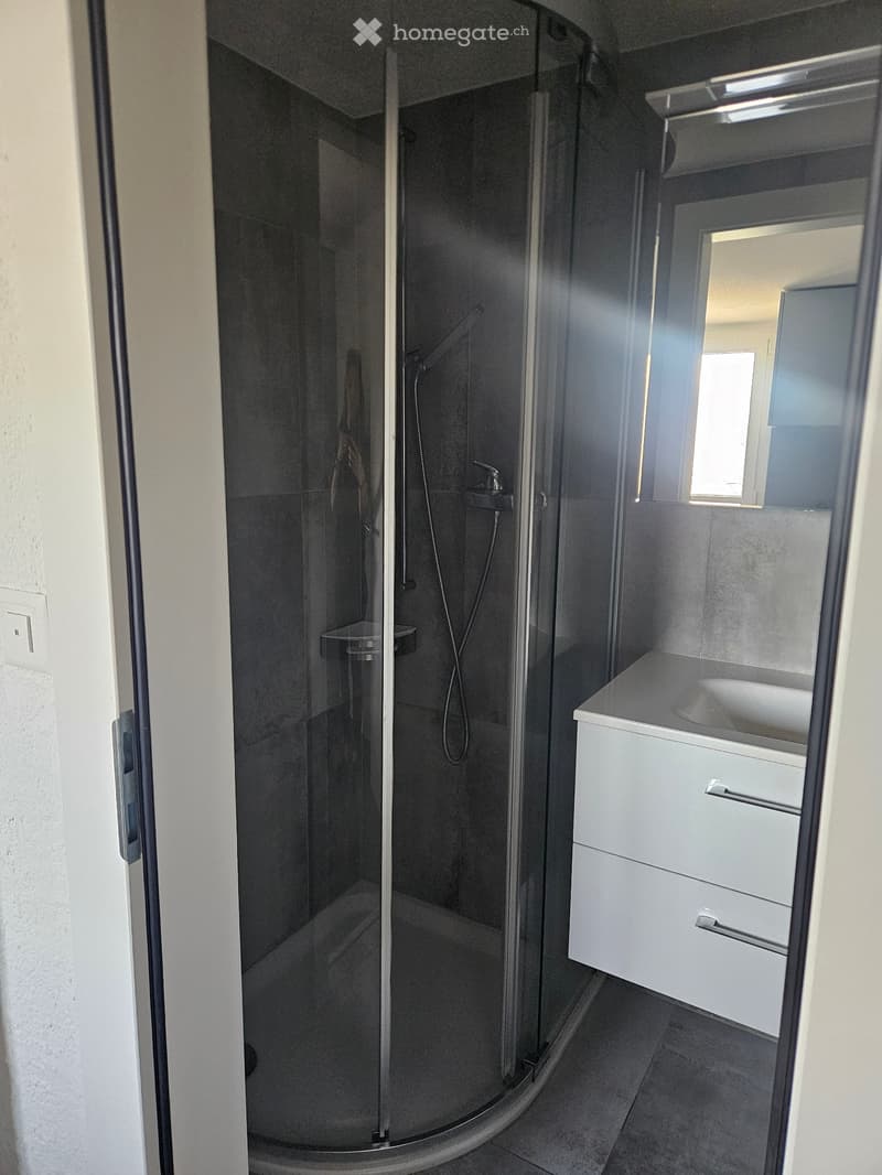 Appartement 2.5pce Evionnaz (5)