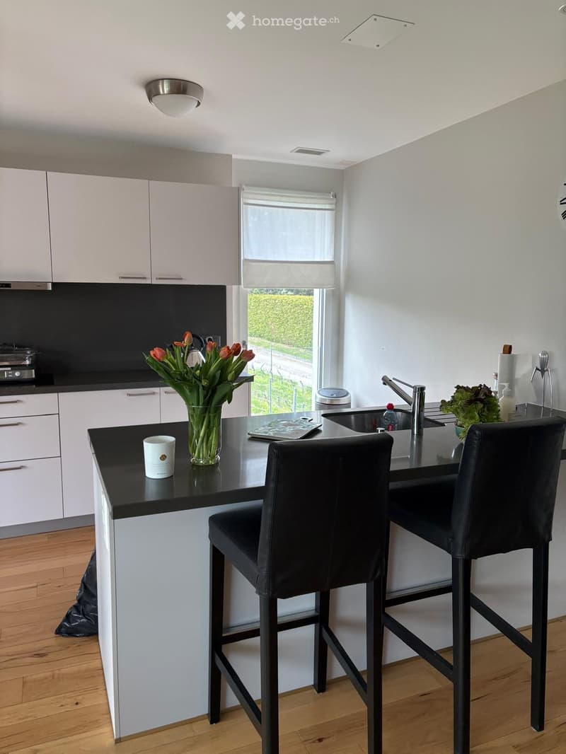 Magnifique Appartement 4,5 pièces avec Terrasse à Vich (3)