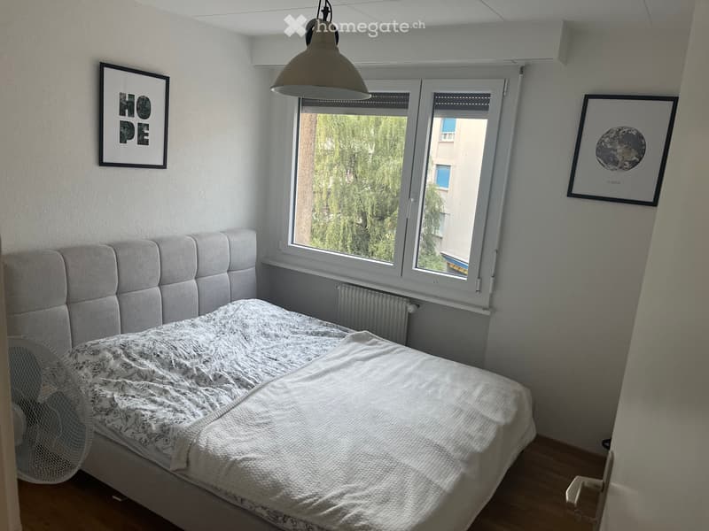 Appartement 4.5 pièces à Gravelone - Sion (3)