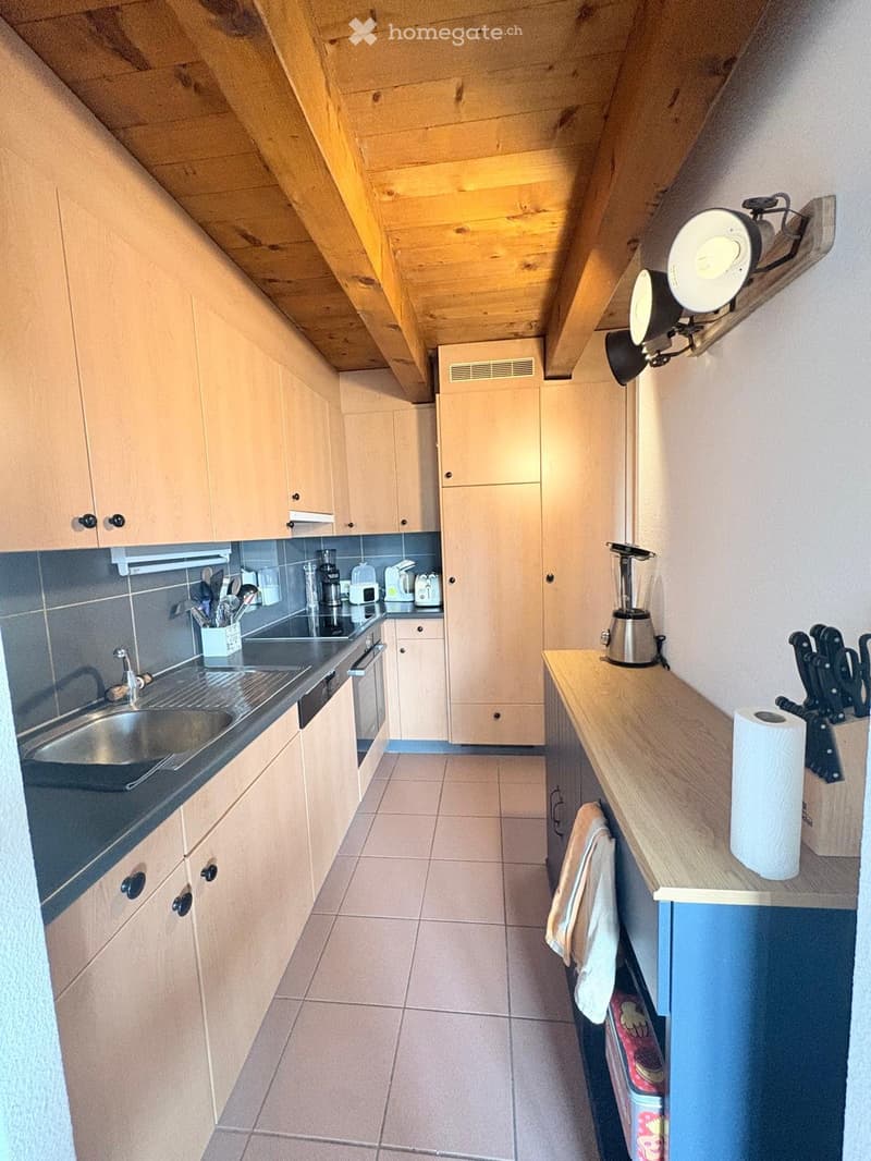 Beau duplex en attique à louer à Gland (1)