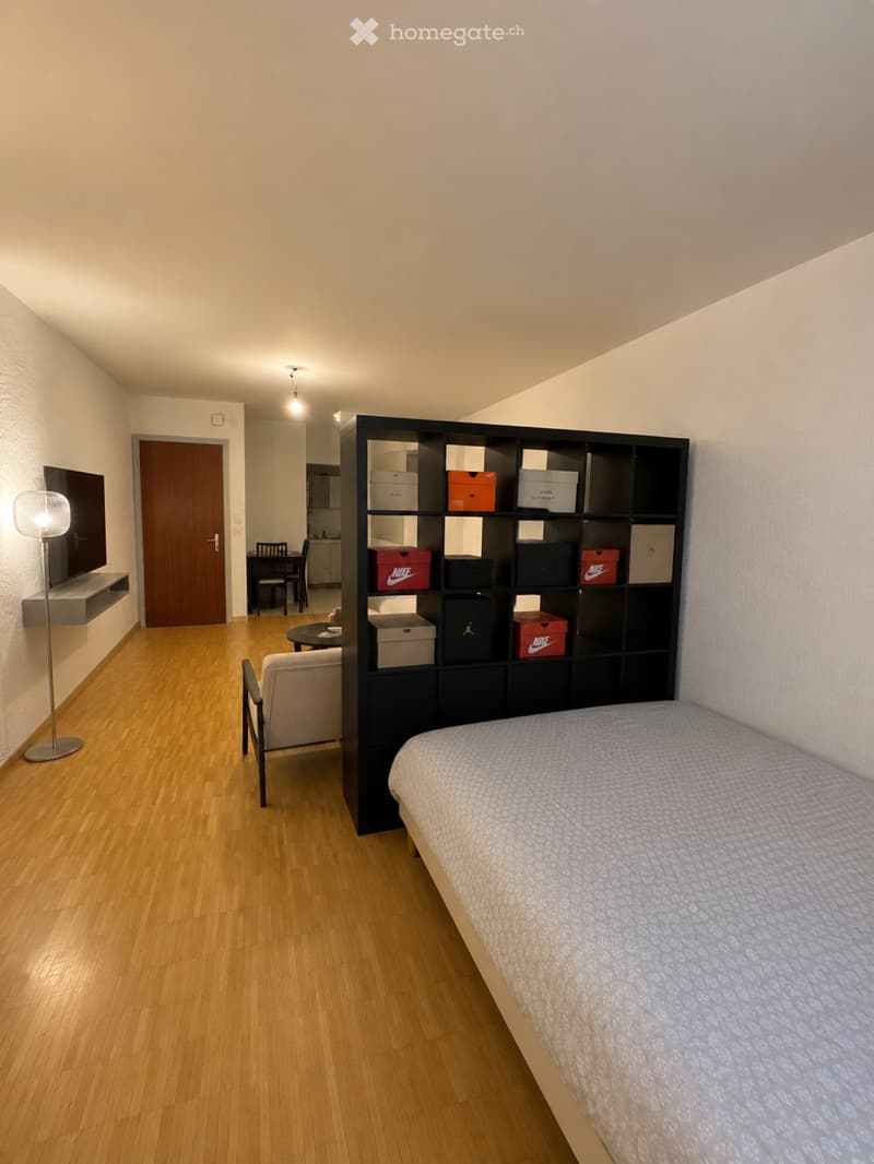 Studio à louer - Au centre de Morges (2)