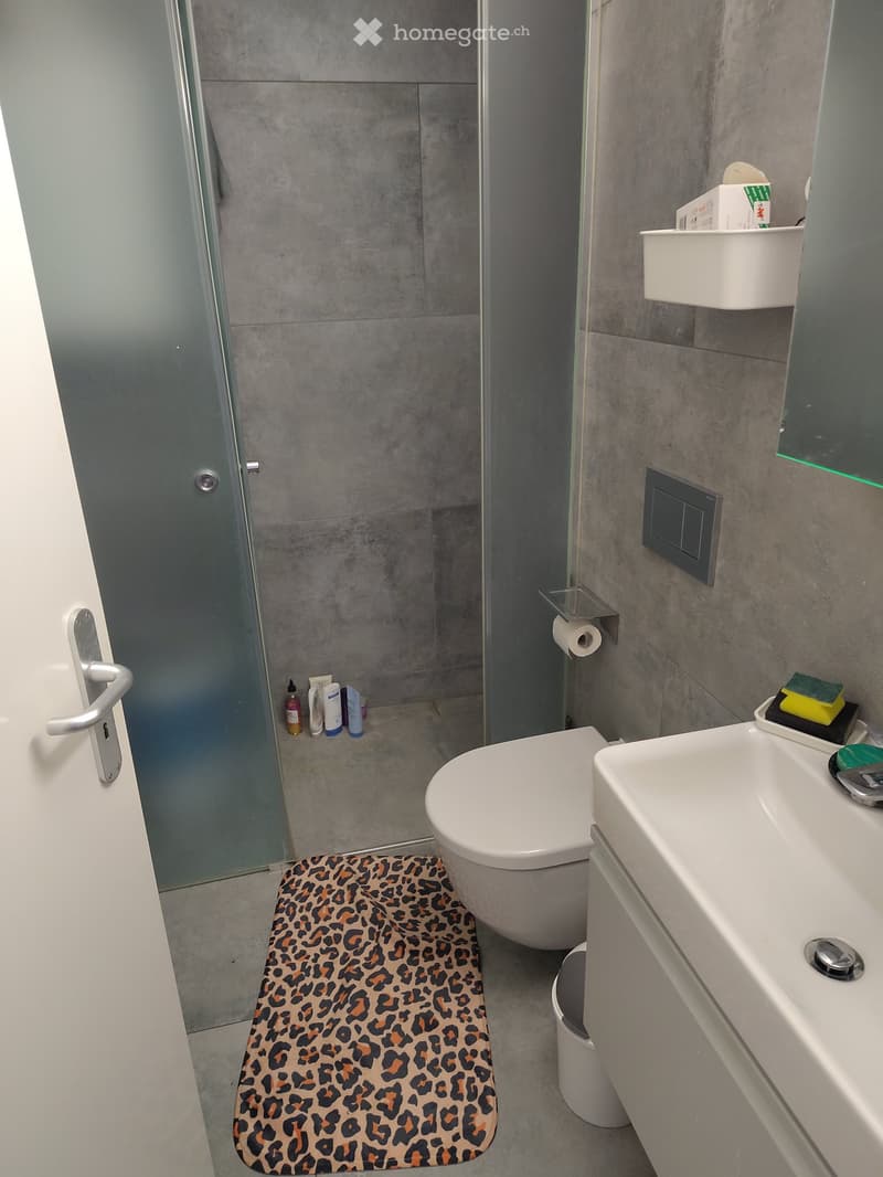 Vevey: Appartement 2 pièces avec balcon à louer dès le 01.08 (4)