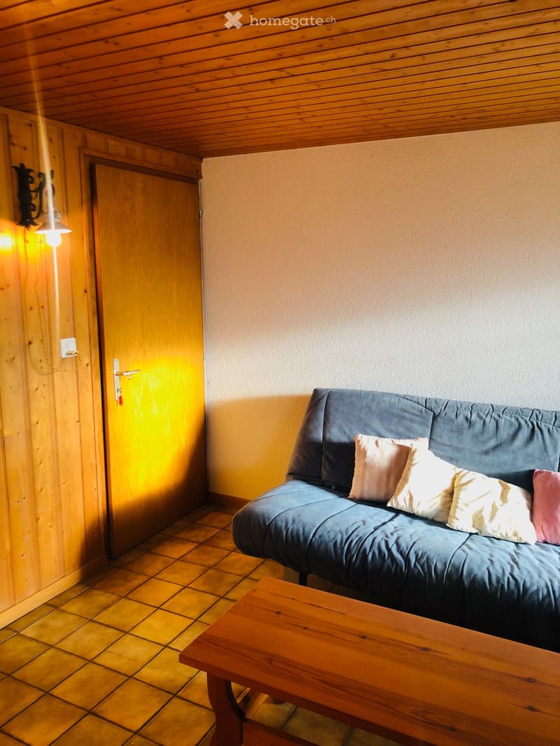Charmant 2 pcs meublé avec place de parc (5)