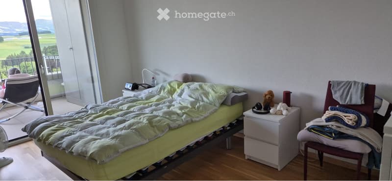 Magnifique appartement de 4,5 (4)
