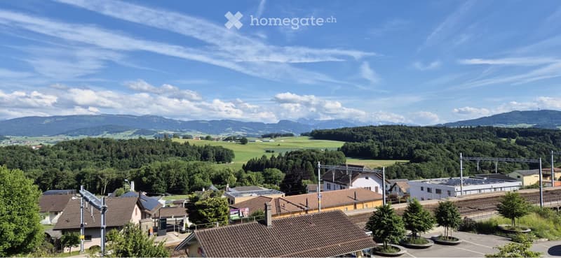 Magnifique appartement de 4,5 (1)