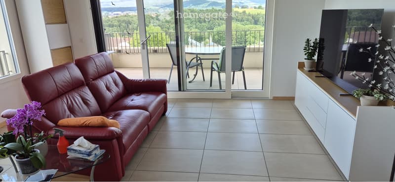 Magnifique appartement de 4,5 (3)