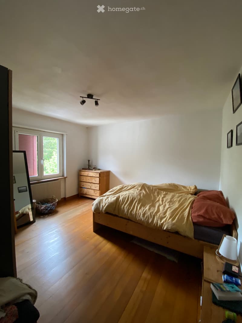 Appartement spacieux et lumineux à Montfaucon (4)