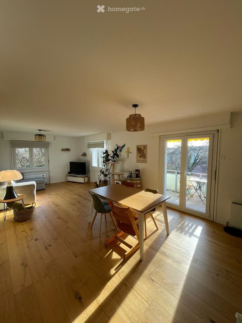 Très grand 3.5 pièces avec balcon, terrasse et jardin commun (1)