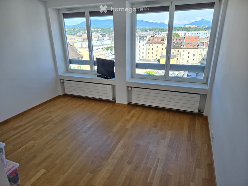 Magnifique duplex de 92 m² Vue panoramique sur le Jet d'Eau (4)