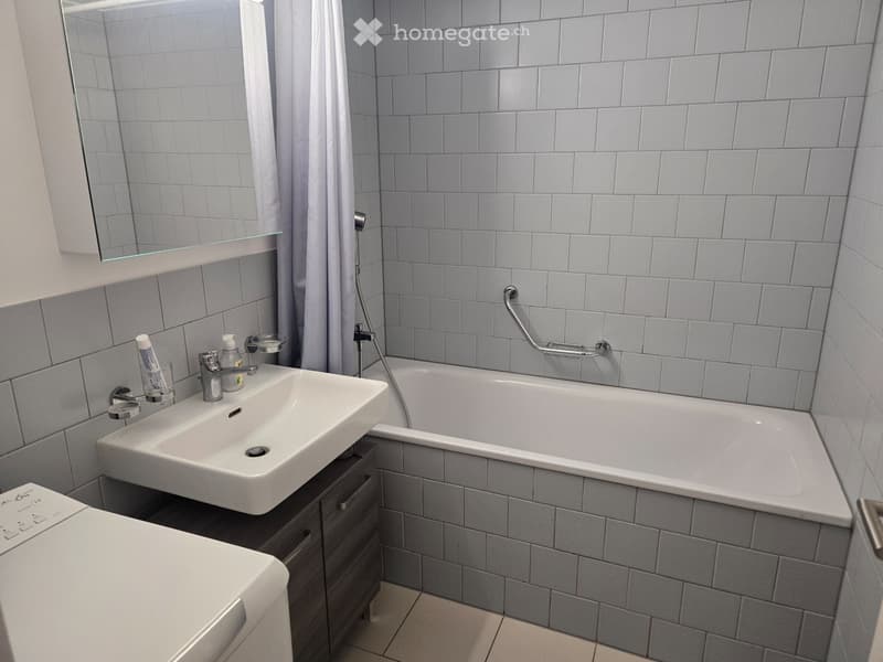 Magnifique duplex de 92 m² Vue panoramique sur le Jet d'Eau (5)