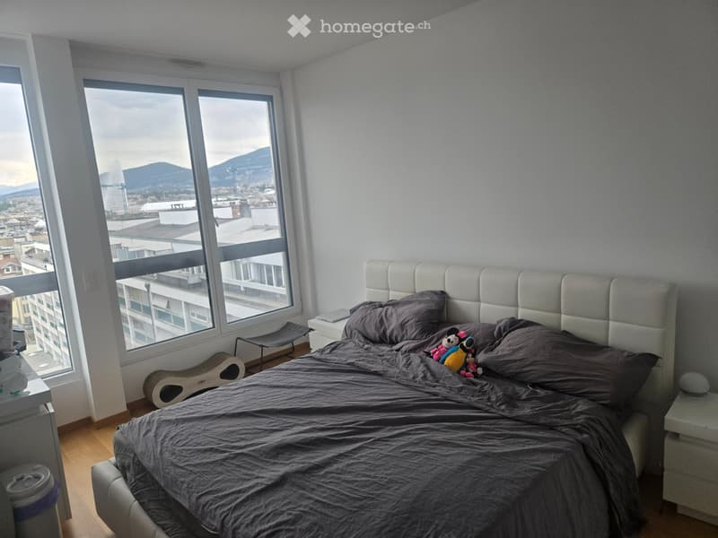 Magnifique duplex de 92 m² Vue panoramique sur le Jet d'Eau (3)