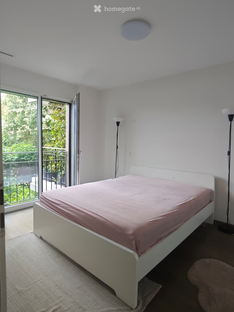 Modern aparment in St Sulpice (3)