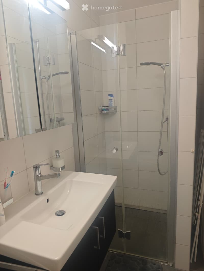 Modern aparment in St Sulpice (5)