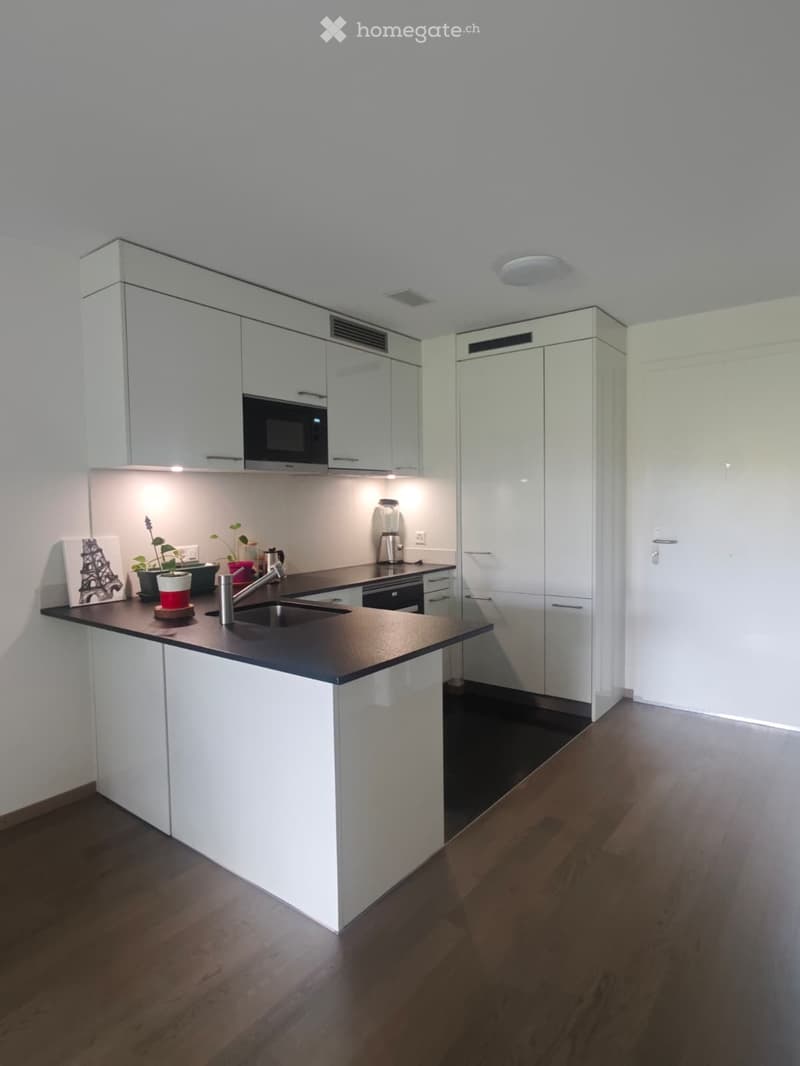 Modern aparment in St Sulpice (2)
