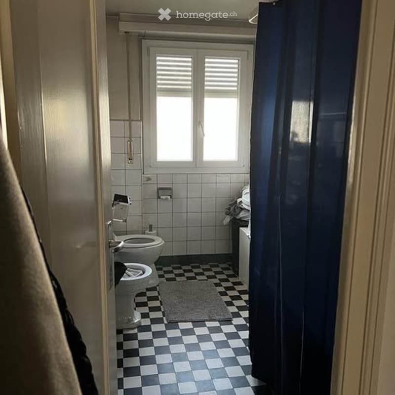 Sous-location meubé de 55 m² à Lausanne 3 mois (5)